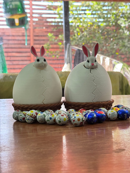 Canastas  de Conejos Gym