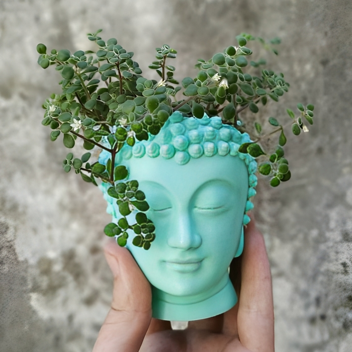 Maceta Buda