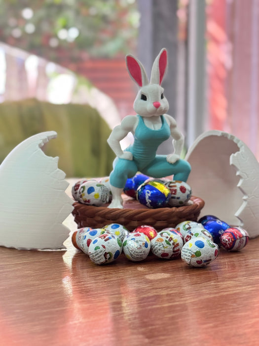 Canastas  de Conejos Gym