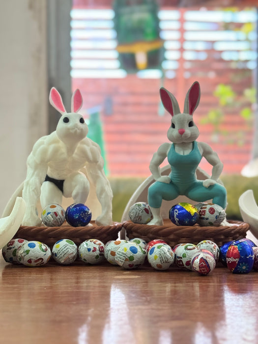 Canastas  de Conejos Gym