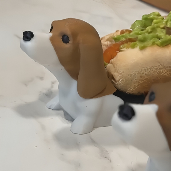 Beaglepleto Porta Completo