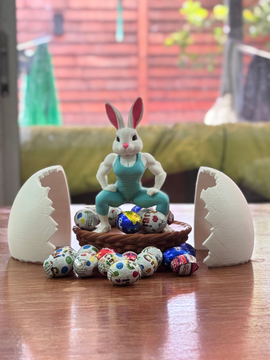 Canastas  de Conejos Gym