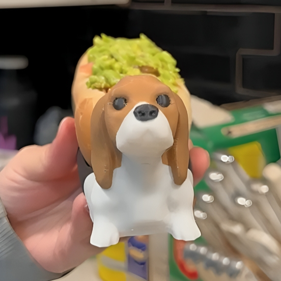 Beaglepleto Porta Completo