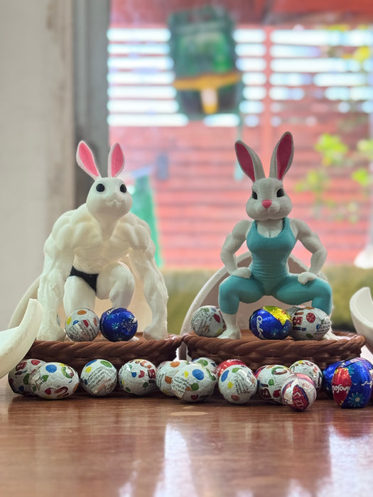 Canastas  de Conejos Gym