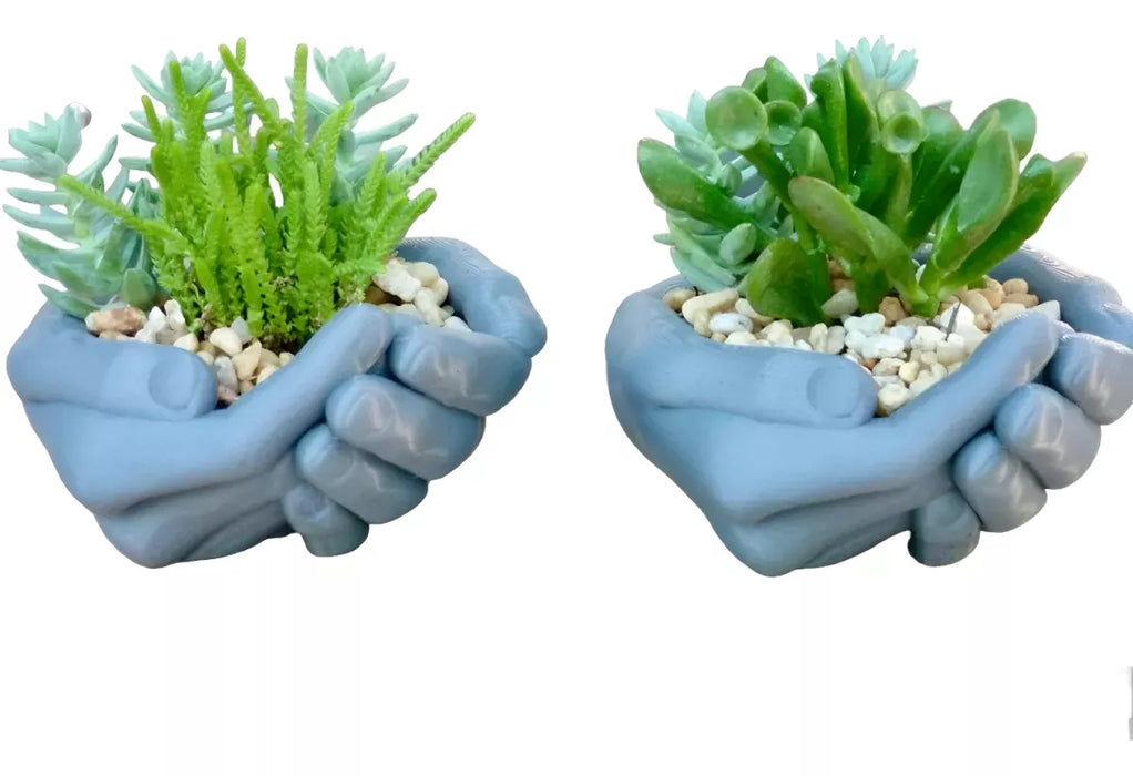 Porta Objetos O Maceta Modelo Manos