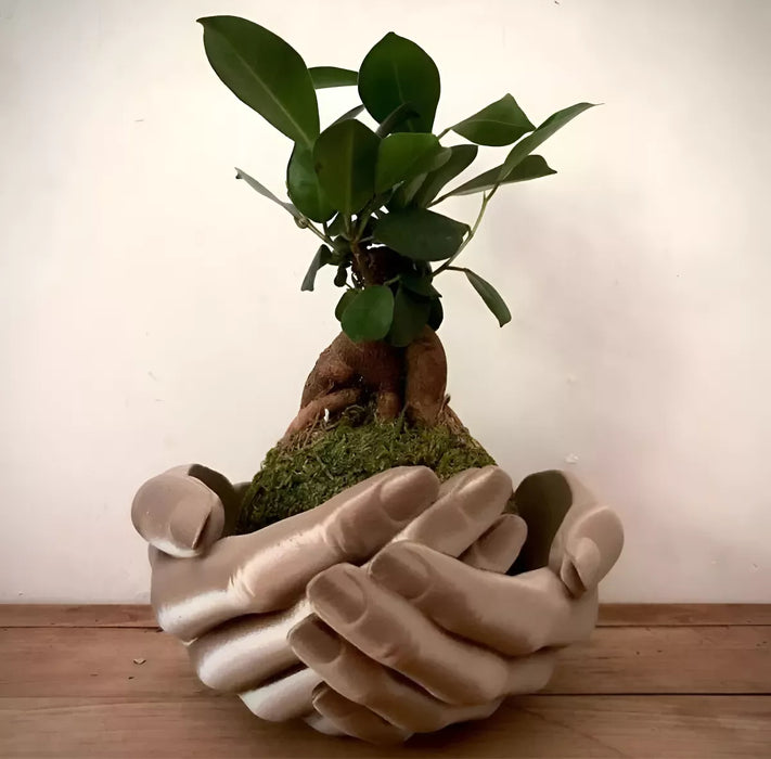 Porta Objetos O Maceta Modelo Manos