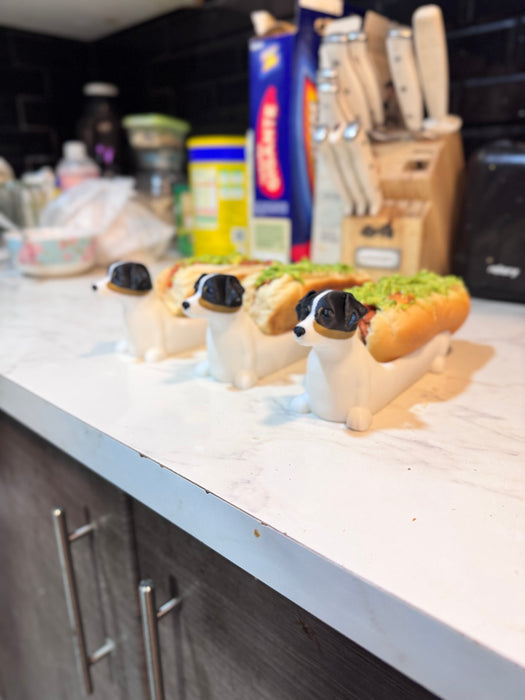 Foxypleto Porta Completo