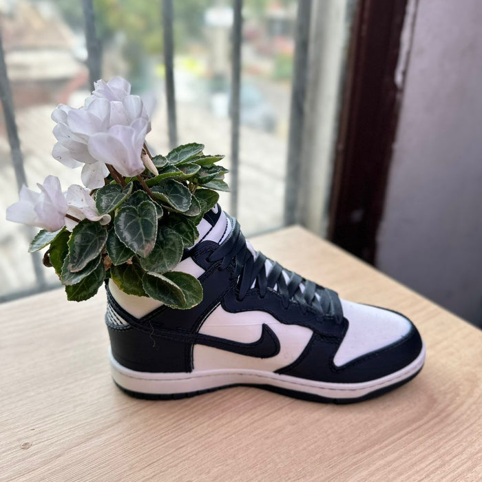 Maceta Sneaker Nike Dunk High