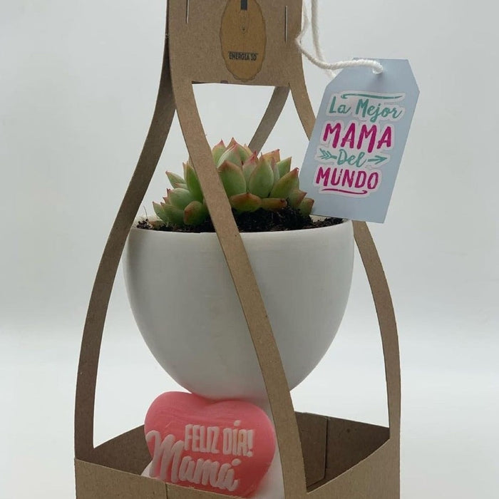 Maceta Día de la Madre