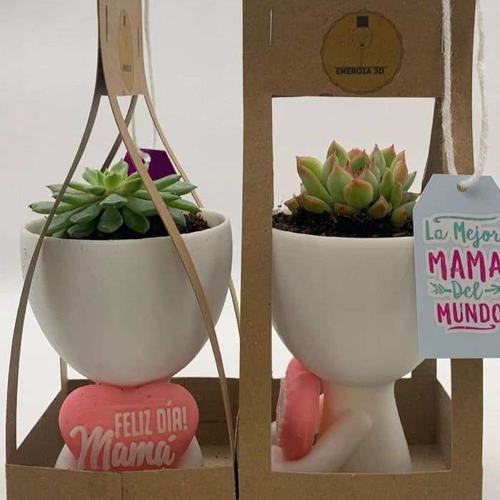 Maceta Día de la Madre