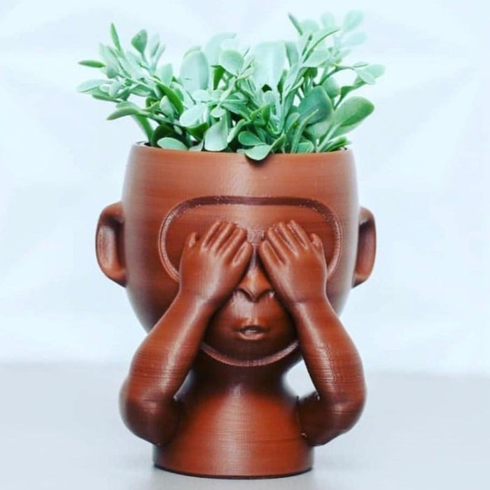 Kit Macetas Monos Sabios