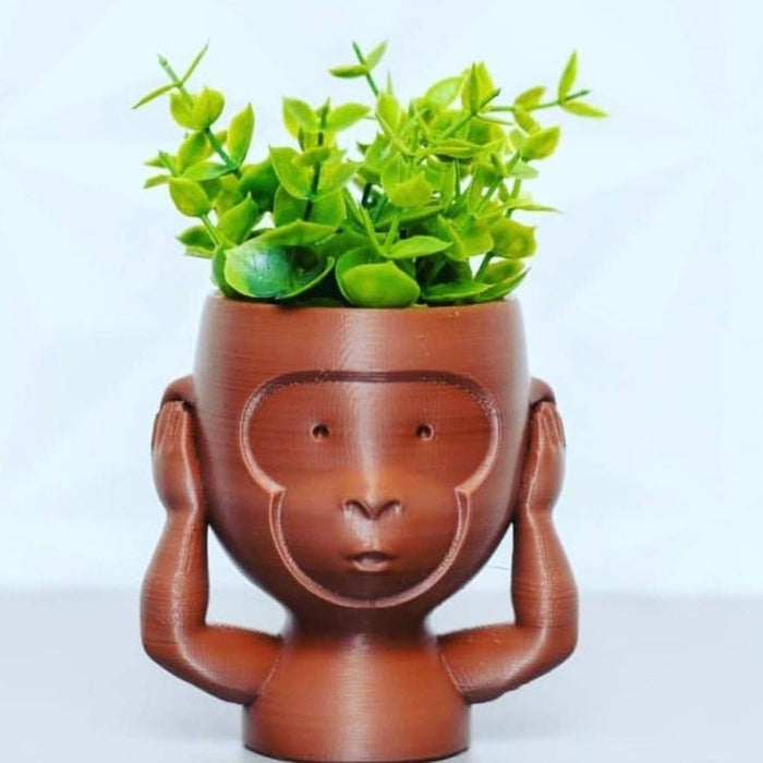 Kit Macetas Monos Sabios