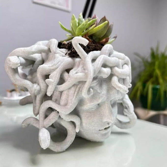 Maceta Medusa