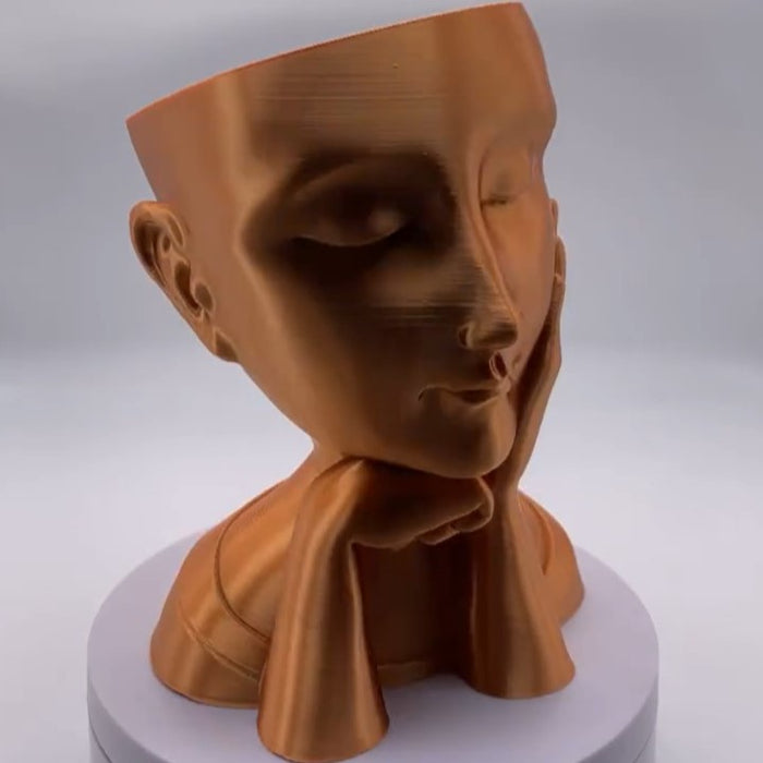 Maceta Mujer Manos Rostro