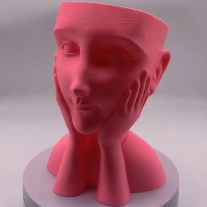 Maceta Mujer Manos Rostro