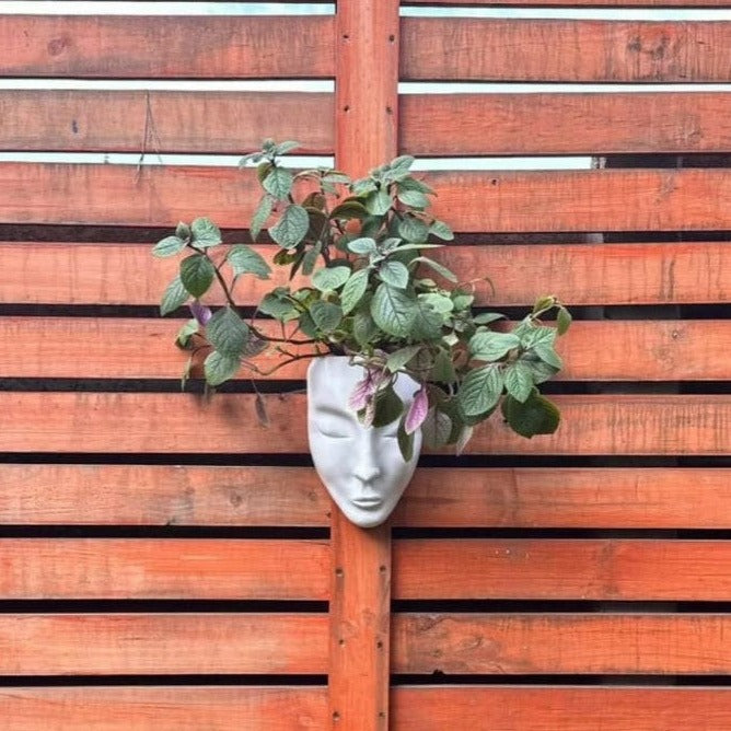 Maceta Rostro Mujer Colgante
