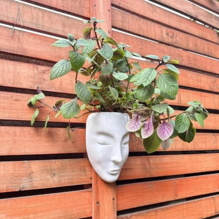 Maceta Rostro Mujer Colgante