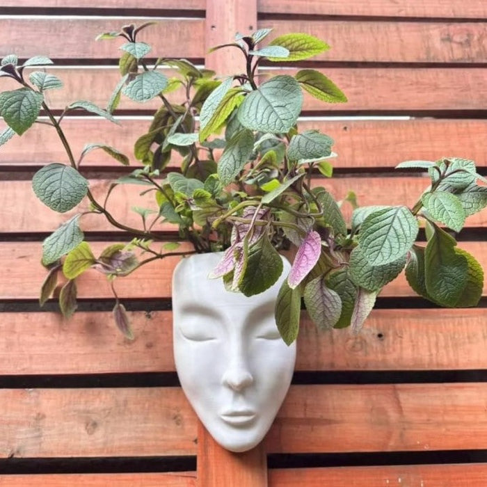 Maceta Rostro Mujer Colgante
