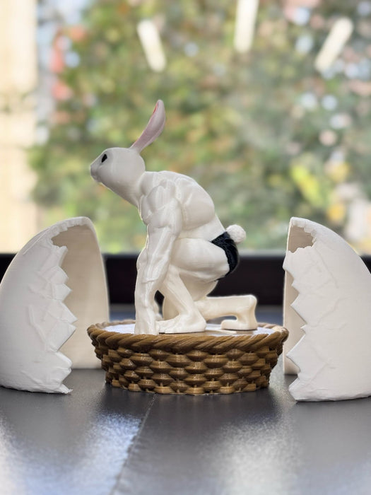 Canastas  de Conejos Gym