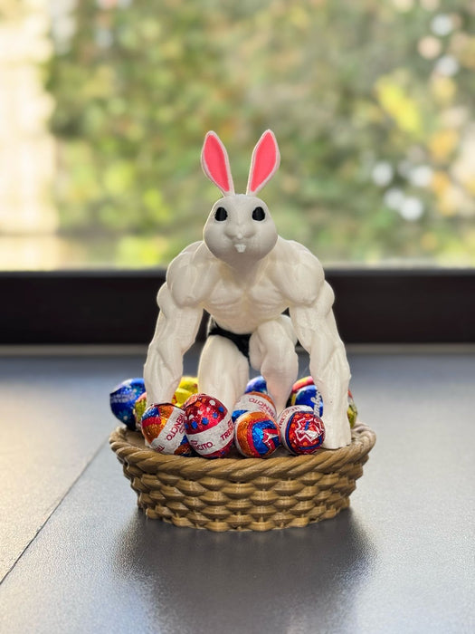 Canastas  de Conejos Gym