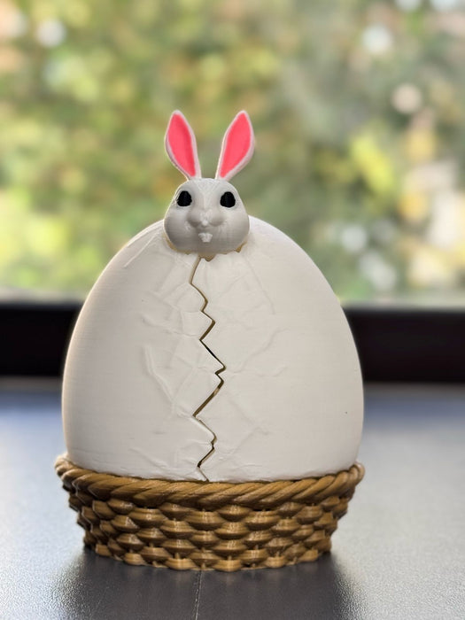 Canastas  de Conejos Gym