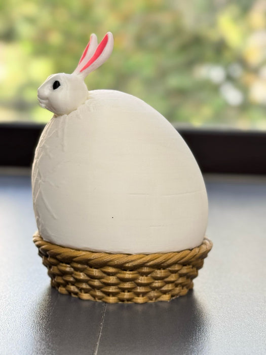 Canastas  de Conejos Gym