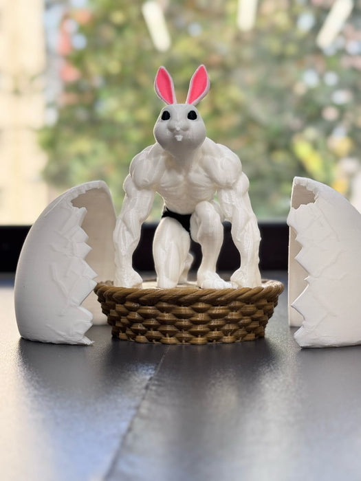 Canastas  de Conejos Gym