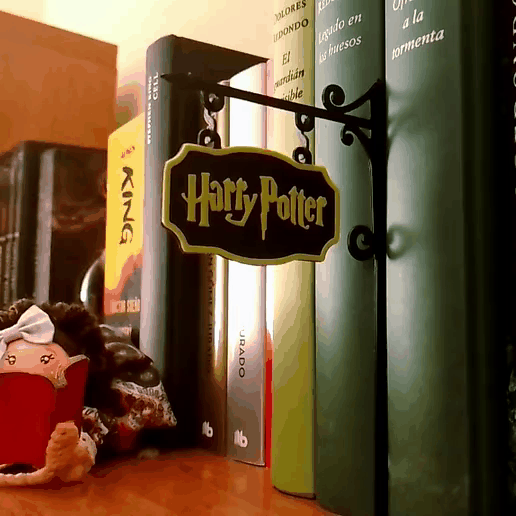 Póster colgante de Harry Potter