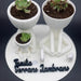 Maceta Familia 3 integrantes Sentados impreso en 3D Chile - Figura decorativa personalizada impresa en 3D