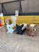 Chihuahuapleto Porta Completo impreso en 3D Chile - Figura decorativa personalizada impresa en 3D
