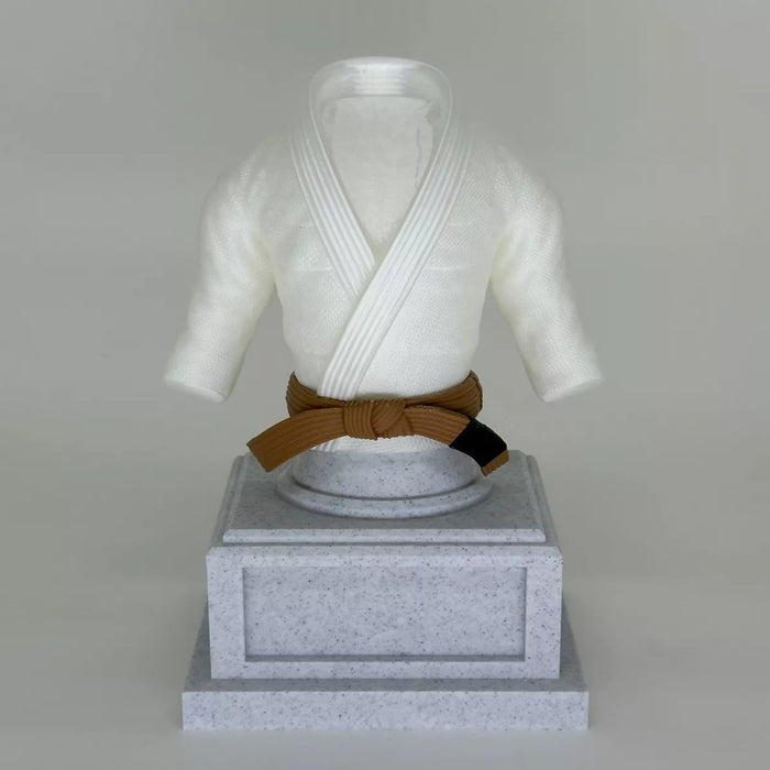 Trofeo Jiujitsu - Karate (Incluye placa personalizada)