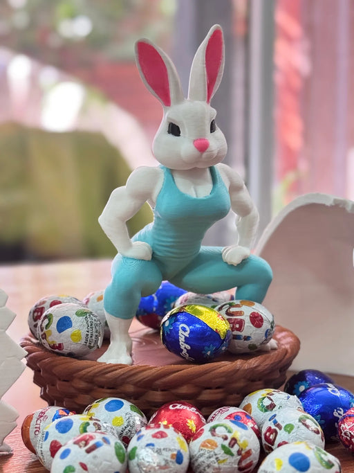 Canastas  de Conejos Gym impreso en 3D Chile - Figura decorativa personalizada impresa en 3D