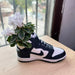 Maceta Sneaker Nike Dunk High impreso en 3D Chile - Figura decorativa personalizada impresa en 3D