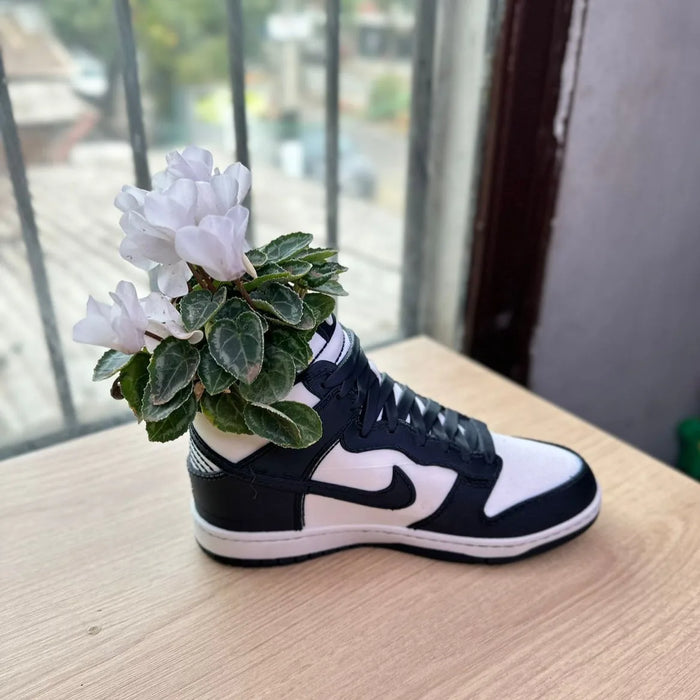 Maceta Sneaker Nike Dunk High impreso en 3D Chile - Figura decorativa personalizada impresa en 3D