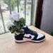 Maceta Sneaker Nike Dunk High impreso en 3D Chile - Figura decorativa personalizada impresa en 3D