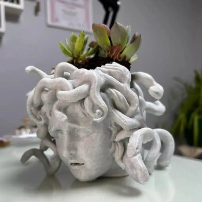 Maceta Medusa impreso en 3D Chile - Figura decorativa personalizada impresa en 3D