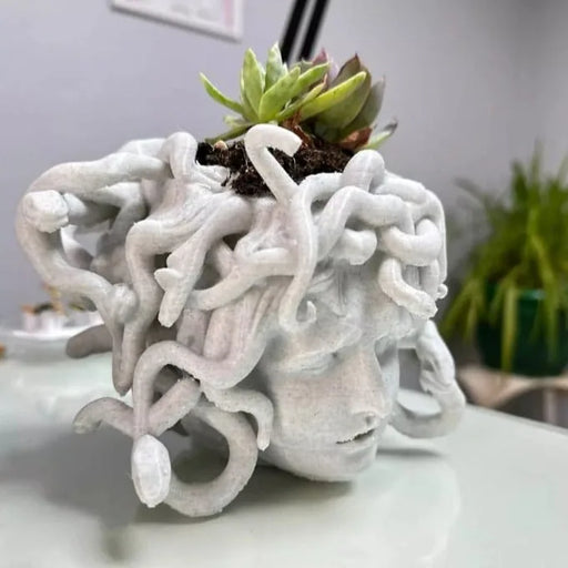 Maceta Medusa impreso en 3D Chile - Figura decorativa personalizada impresa en 3D