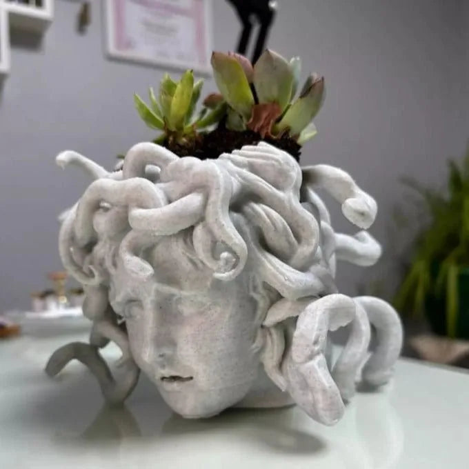 Maceta Medusa impreso en 3D Chile - Figura decorativa personalizada impresa en 3D