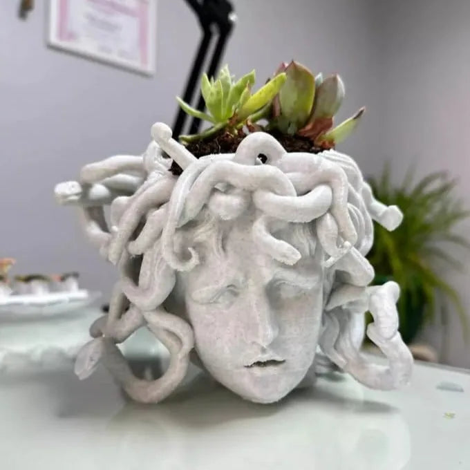 Maceta Medusa impreso en 3D Chile - Figura decorativa personalizada impresa en 3D