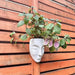 Maceta Rostro Mujer Colgante impreso en 3D Chile - Figura decorativa personalizada impresa en 3D