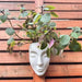 Maceta Rostro Mujer Colgante impreso en 3D Chile - Figura decorativa personalizada impresa en 3D