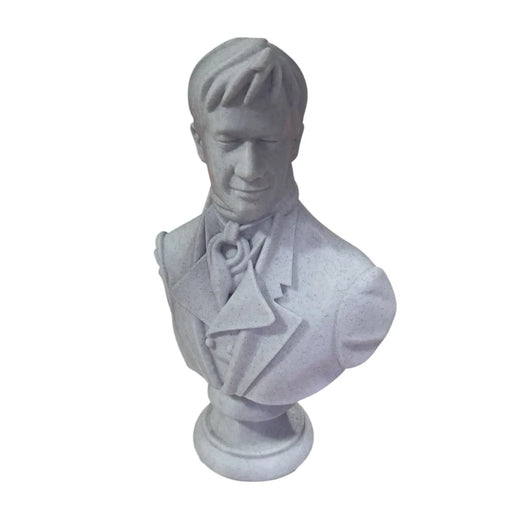 Busto Mr. Darcy impreso en 3D Chile - Figura decorativa personalizada impresa en 3D