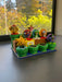 STAND para juguetes de McDonalds de Super Mario Galaxy impreso en 3D Chile - Figura decorativa personalizada impresa en 3D