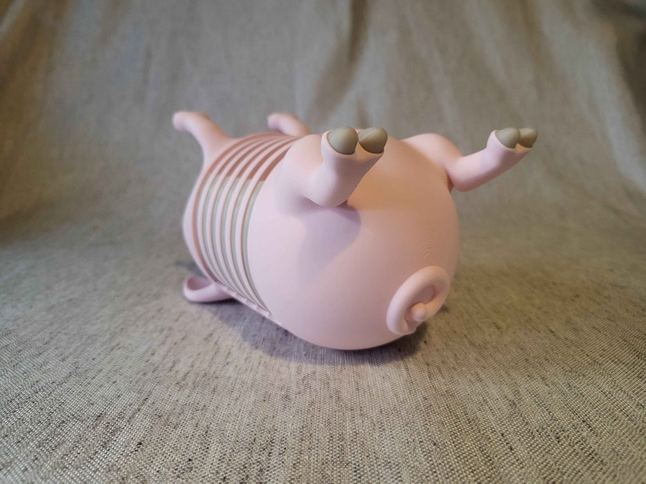 Cerdito Posavasos