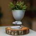 Maceta Boby Pose Zen impreso en 3D Chile - Figura decorativa personalizada impresa en 3D